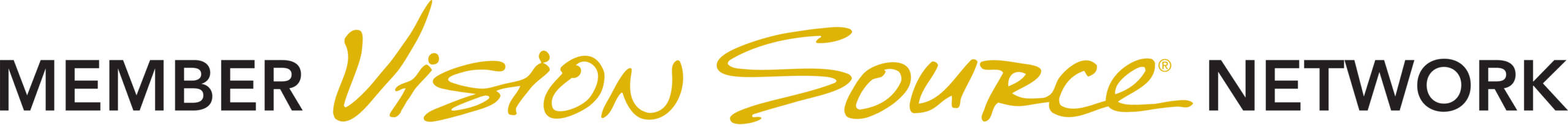 VS_GoldBlk_Network_Horiz_Logo